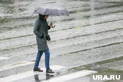 Днем ожидается небольшой дождь, возможен мокрый снег
