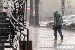 Помимо осадков синоптики обещают усиление ветра до 20-25 метров в секунду