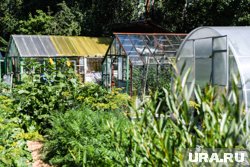Чтобы приманить удачу - нужно обустроить дачу