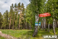 Тройка лидеров по числу участков определена за явным преимуществом