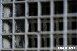 Остаток жизни Болсонару проведет в тюрьме