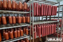 Предприятие наращивает объемы выручки и сокращает убытки