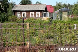 Югорчане неохотно сдают в аренду загородные дома