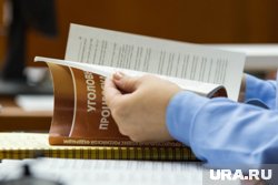 Суд нашел нарушения в мере пресечения курганским сестрам Камшиловым
