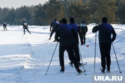 Курганцы все чаще занимаются физкультурой и спортом