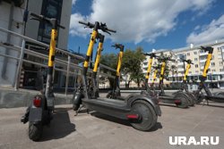 Число пострадавших от электросамокатов также сократилось