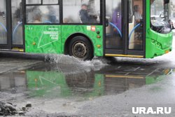 На маршруты добавили автобусы «Волгабас»