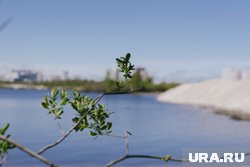 Пляж начнет работу уже летом