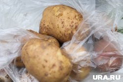 С 11 августа картофель подешевел на 14,53%
