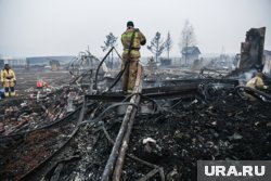 Борьбе с лесными пожарами власти уделяют особое внимание