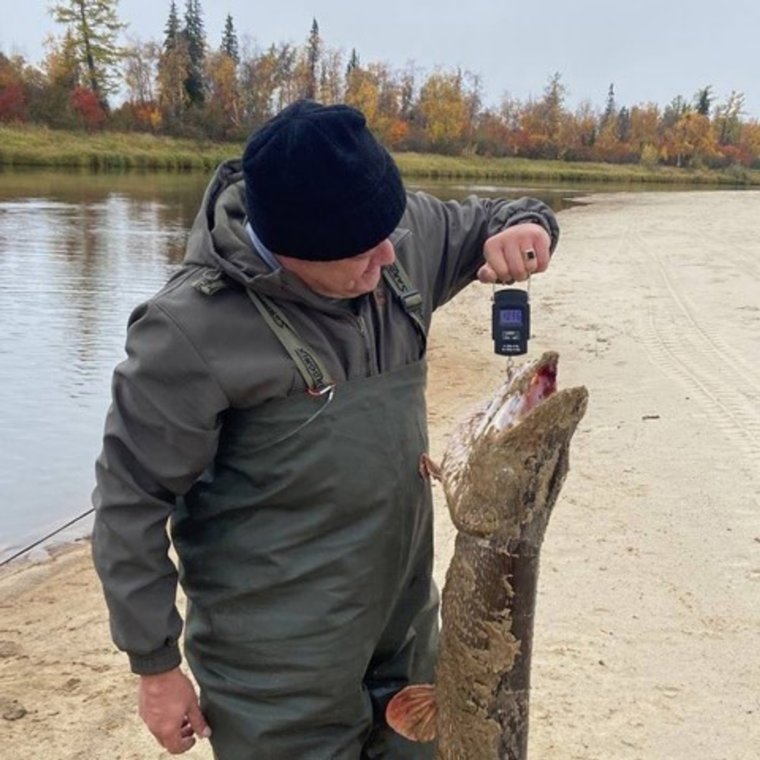 Рыбак Александр Белов взвешивает щуку