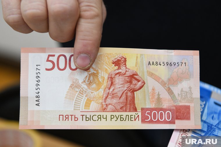 Кучеру назначен штраф в размере пяти тысяч рублей