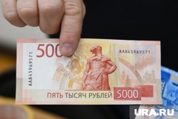 Кучеру назначен штраф в размере пяти тысяч рублей