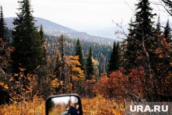 Следователи считают, что шансы найти Усольцевых живыми минимальны