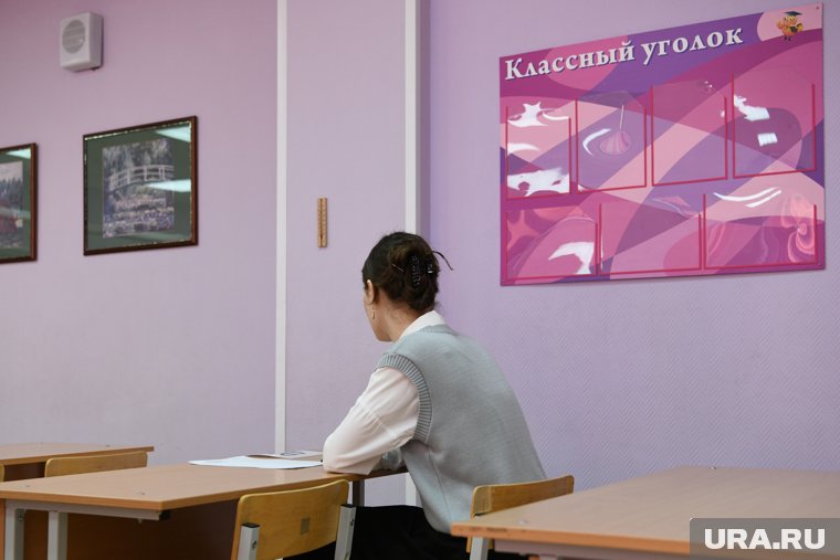 Члены государственной экзаменационной комиссии не просили школьницу задирать юбку (архивное фото)