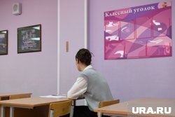 Члены государственной экзаменационной комиссии не просили школьницу задирать юбку (архивное фото)