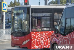 Автобусы будут объезжать улицу Борчанинова по выходным