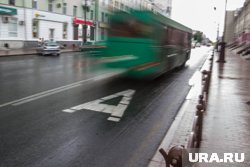 В Амурской области пассажирский автобус столкнулся с автомобилем Toyota