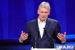 Инициатива Владимира Путина о временном прекращении огня остается в силе