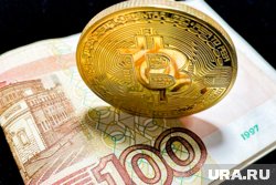 В Пермском крае налоговые обязательства по операциям с криптой исполняют 214 юридических лиц и 352 ИП