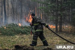 Лесные пожары в Прикамье стали тушить эффективнее