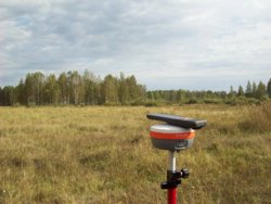 Челябинские поля, где выявили нарушения, заросли сорняками