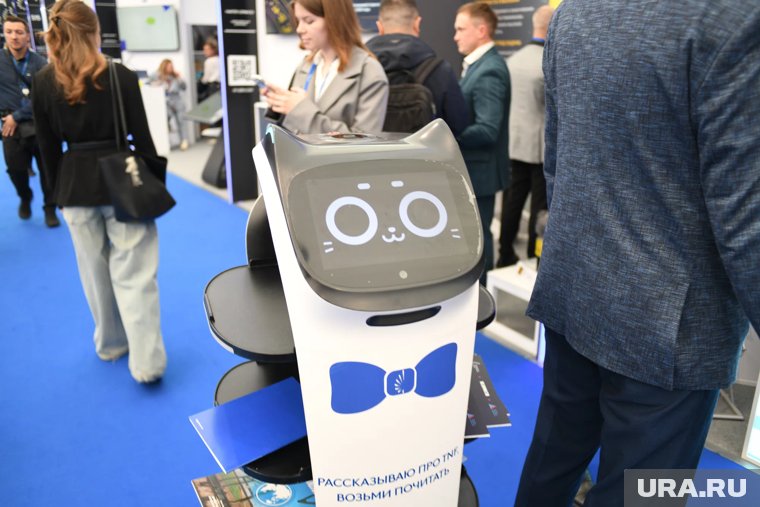 Робокот развозил информационные буклеты гостям форума 