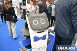 Робокот развозил информационные буклеты гостям форума 