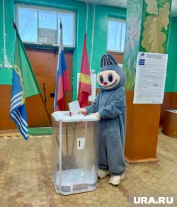 Избиратель в Чесменском районе проголосовал в образе популярной игрушки Лабубу