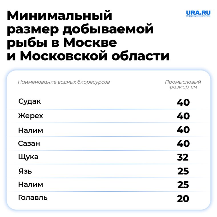 Установлено количество и размер рыбы, возможный для ловли в Подмосквье