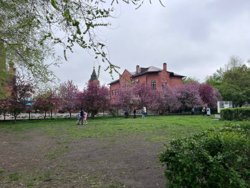 Курганцев не напугал дождь