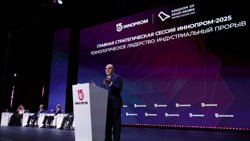 Михаил Мишустин в выступлении упомянул об успехах челябинских промышленников