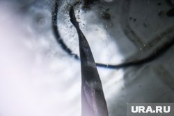 Депутат не стал раскрывать место ловли
