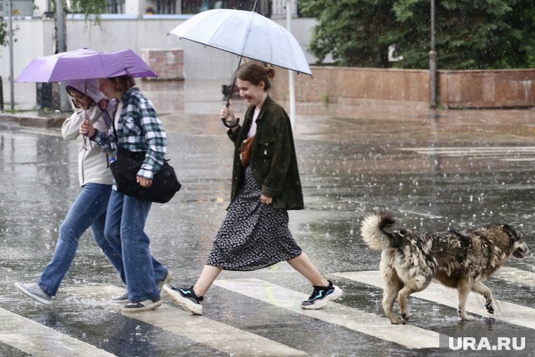 Все четыре праздничных дня в Тюмени будут идти ливни