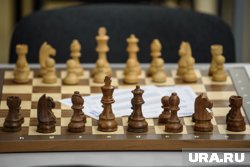 Шахматиста наградили орденом Почета за заслуги в спорте