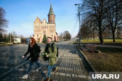 Жителей Калининграда призвали не реагировать на угрозы НАТО