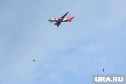 В аэропорту Самары введены ограничение на прием и выпуск самолетов