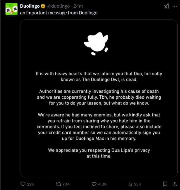 Сова Duolingo умерла, ведется расследование причин смерти