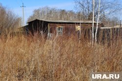 В случае причинения крупного ущерба от сжигания сухой травы возможна уголовная ответственность