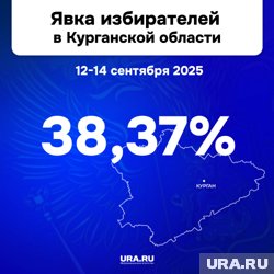 В Курганской области зафиксировали рекордную явку за 15 лет