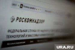 РКН сообщил, что его ресурсы, несмотря на атаку, работают без ограничений