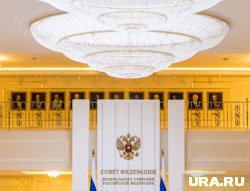 В Совет Федерации попадали разными способами