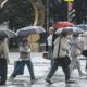 Дожди, грозы и летнее тепло: какая погода ждет Ямал в ближайшие выходные