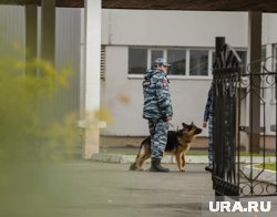 Угроза нападения на школы в Краснокамске отсутствует (архивное фото)