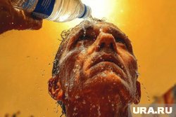 Жара оказывает значительное влияние на здоровье человека, вызывая различные заболевания и обострения уже имеющихся