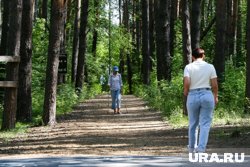 Экотропа появится в Тобольске на территории «Паниного бугра»