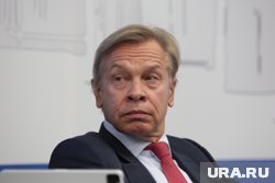 Сенатор РФ Пушков раскритиковал власти Германии 