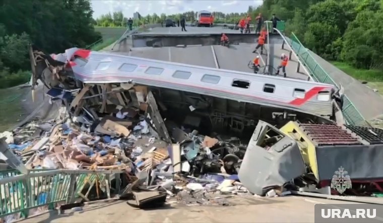 В пассажирском поезде № 86 Климов — Москва пострадали дети