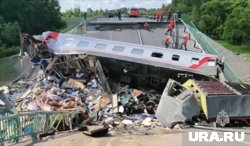 В пассажирском поезде № 86 Климов — Москва пострадали дети