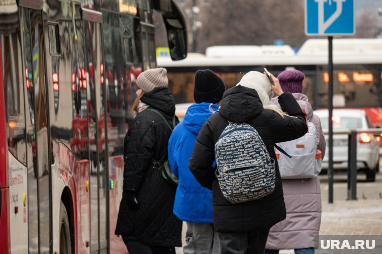 На переполненном маршруте №53 в Перми в 2025 году запустят автобусы с «гармошкой»